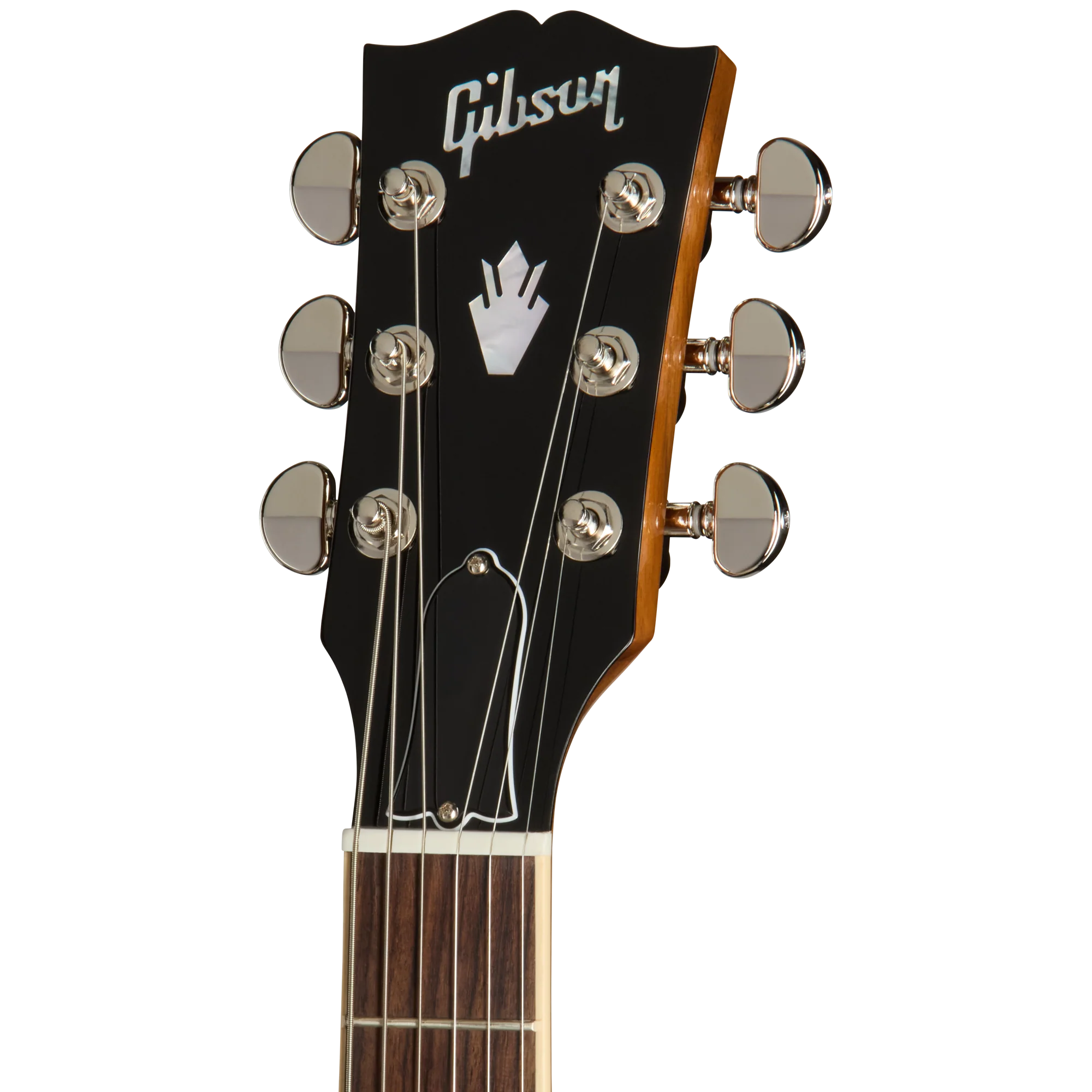 Gibson ES-339, Honey Burst 5 Gibson ES-339, Honey Burst