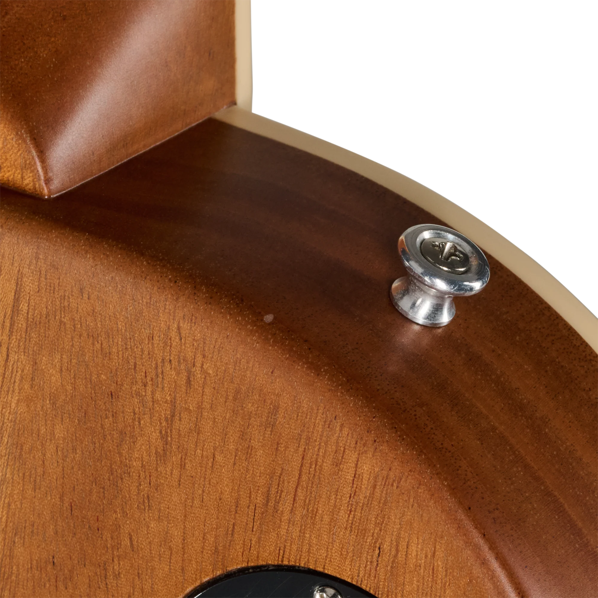 Gibson Mod™ Collection Les Paul Deluxe 70s, Tyrannosaurus Rock 13 Gibson Mod™ Collection Les Paul Deluxe 70s, Tyrannosaurus Rock