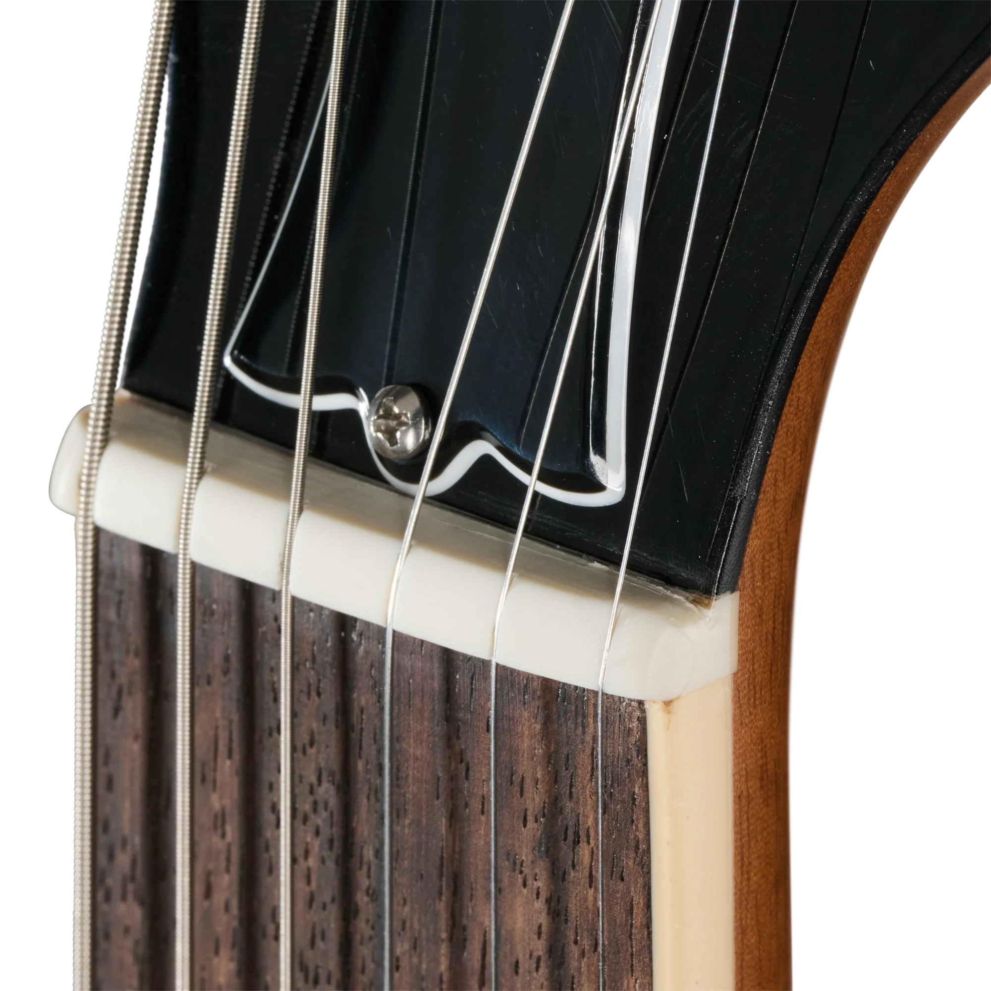 Gibson Mod™ Collection Les Paul Deluxe 70s, Tyrannosaurus Rock 14 Gibson Mod™ Collection Les Paul Deluxe 70s, Tyrannosaurus Rock