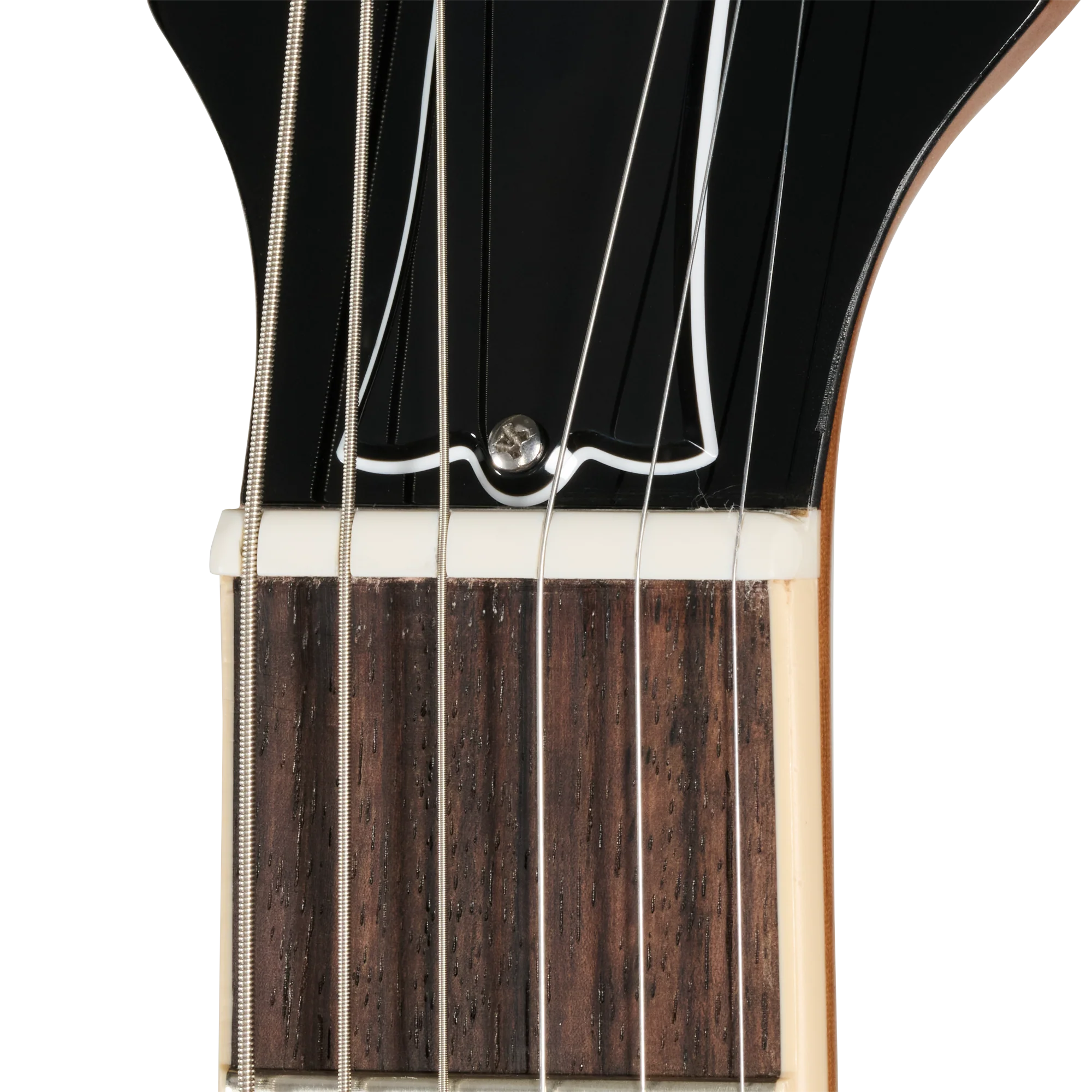 Gibson Mod™ Collection Les Paul Deluxe 70s, Tyrannosaurus Rock 15 Gibson Mod™ Collection Les Paul Deluxe 70s, Tyrannosaurus Rock