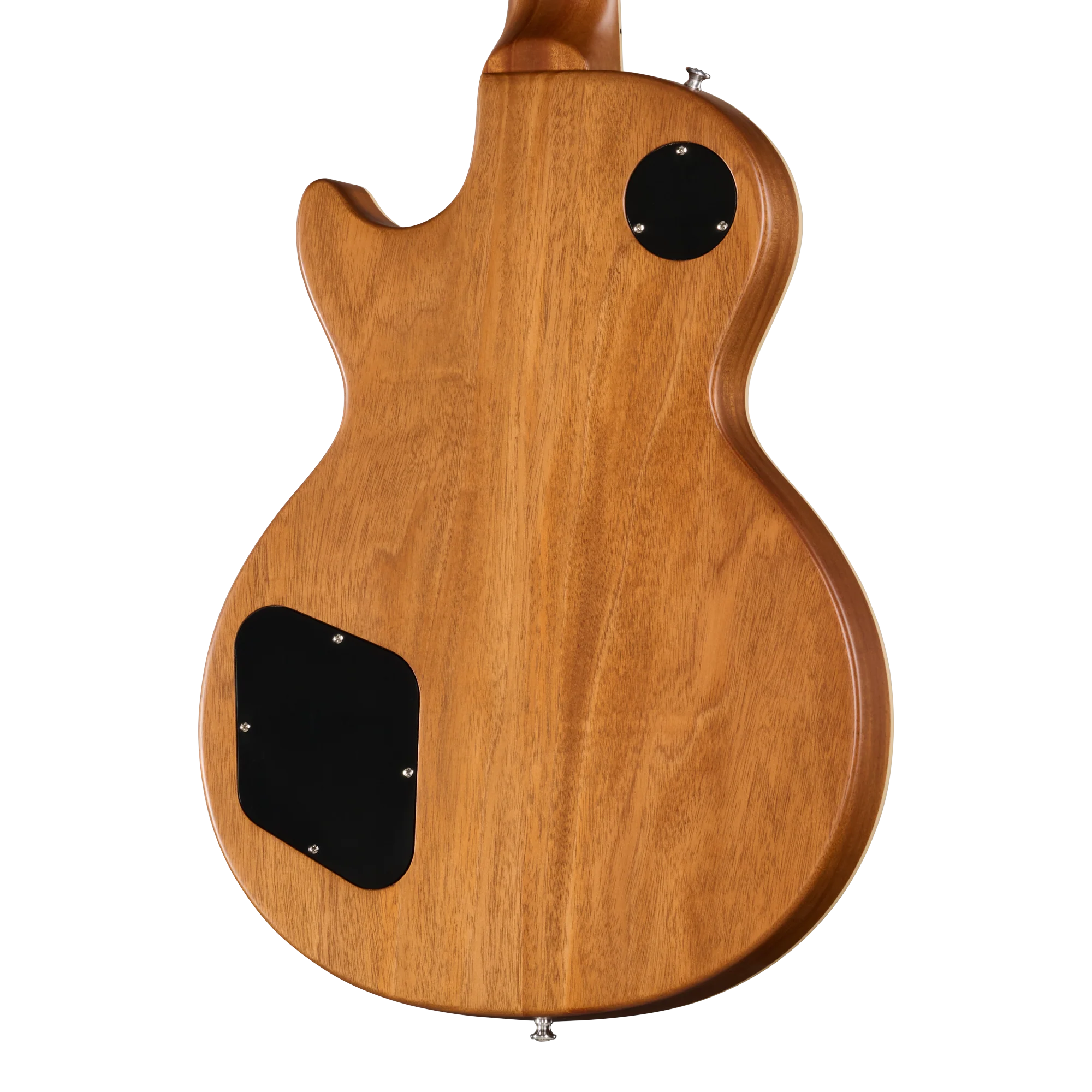 Gibson Mod™ Collection Les Paul Deluxe 70s, Tyrannosaurus Rock 2 Gibson Mod™ Collection Les Paul Deluxe 70s, Tyrannosaurus Rock