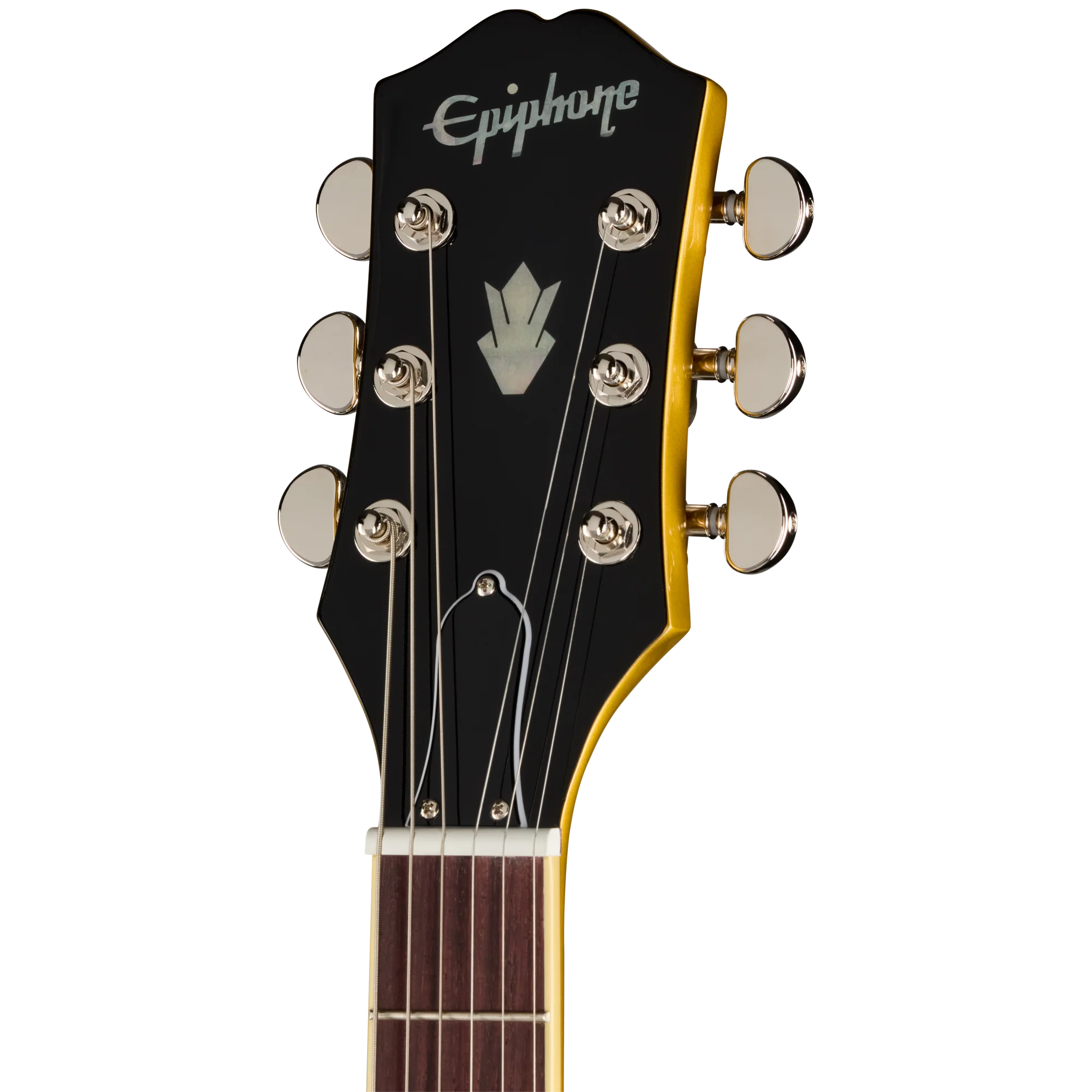 Epiphone ES-335, Double Gold, Exclusive 5 Epiphone ES-335, Double Gold, Exclusive