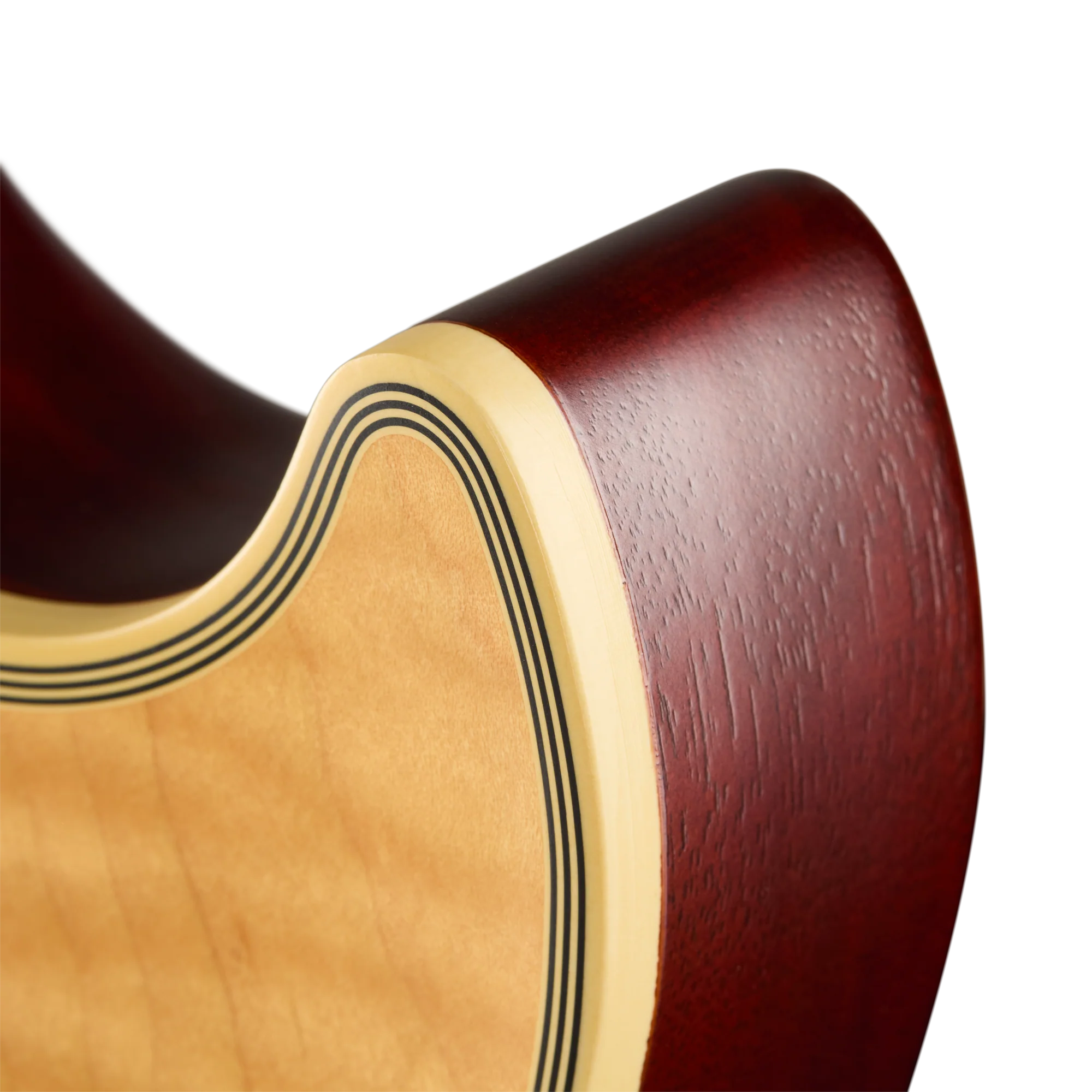 Gibson Mod™ Collection Les Paul Axcess Custom, Au Naturale 10 Gibson Mod™ Collection Les Paul Axcess Custom, Au Naturale
