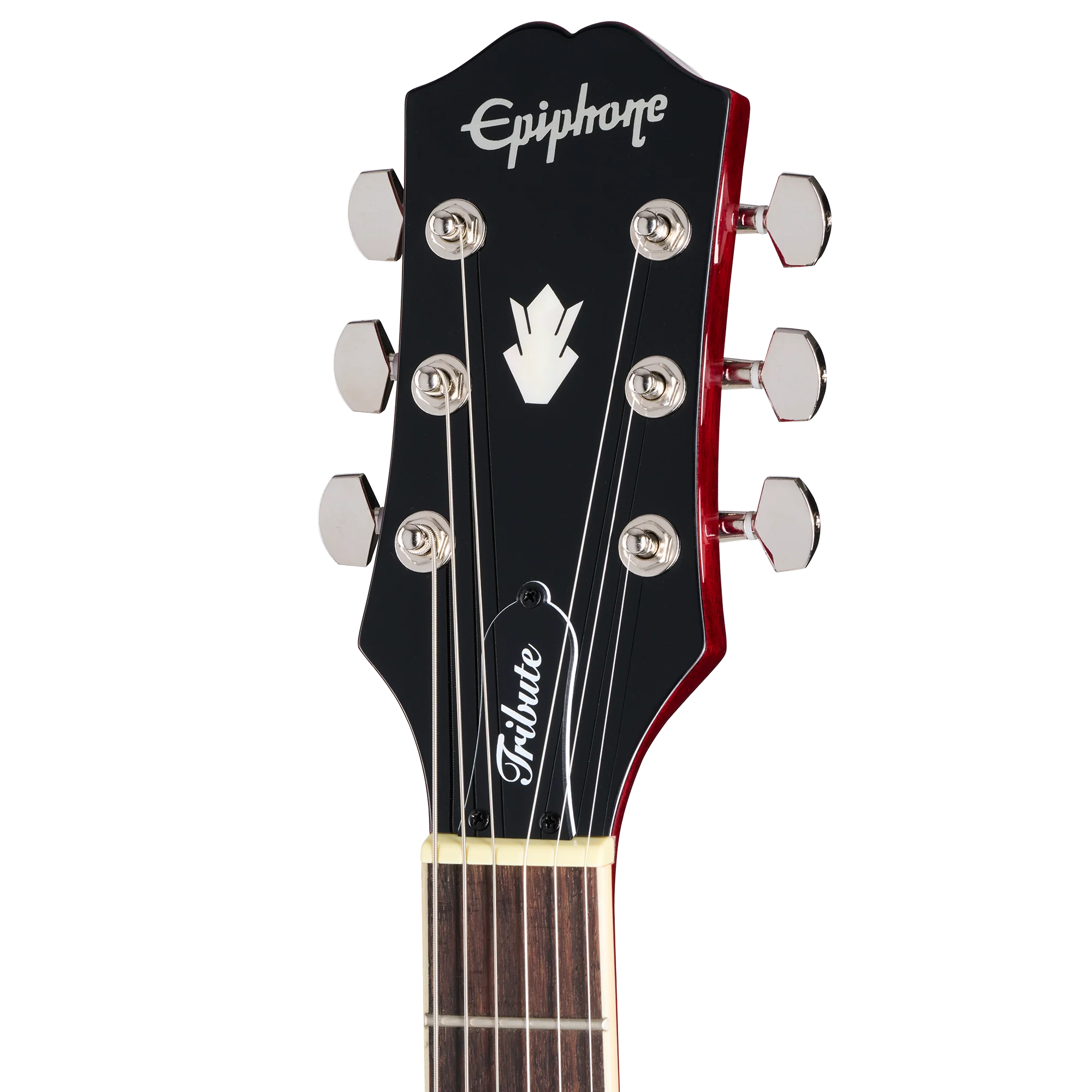 Epiphone SG Tribute, Cherry 6 Epiphone SG Tribute, Cherry