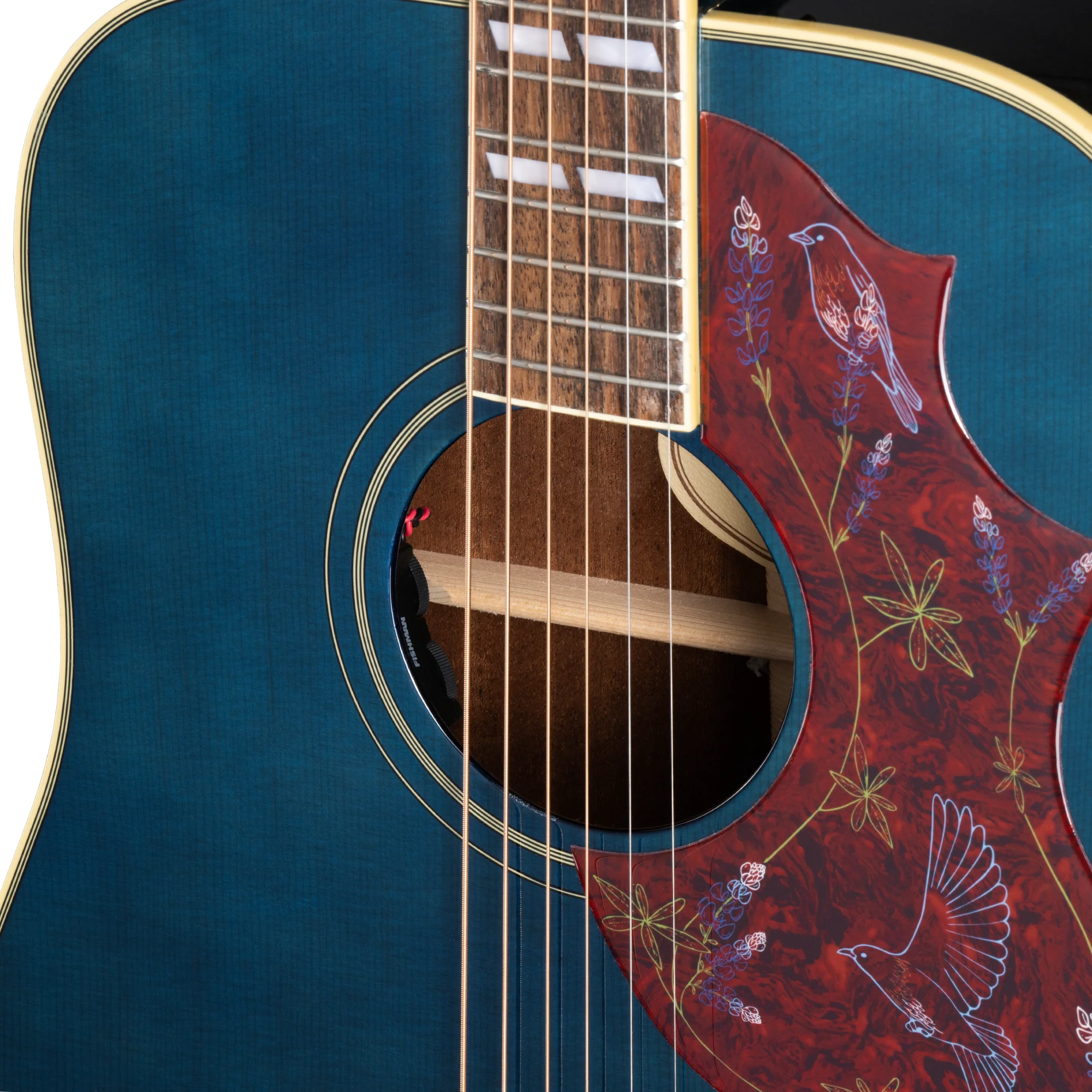 Epiphone Miranda Lambert Bluebird Studio, Bluebonnet 7 Epiphone Miranda Lambert Bluebird Studio, Bluebonnet
