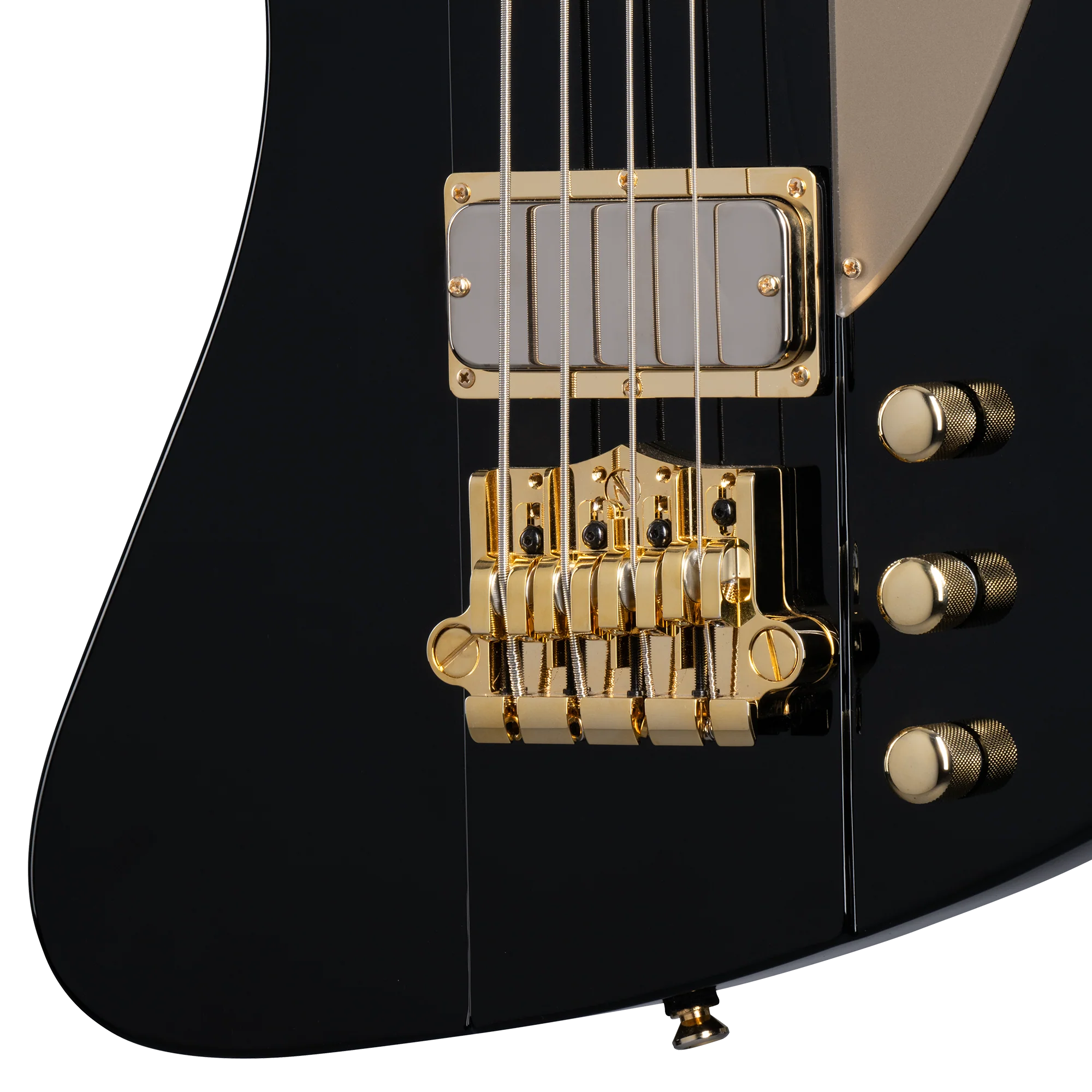 Epiphone Rex Brown Thunderbird Bass, Ebony 8 Epiphone Rex Brown Thunderbird Bass, Ebony