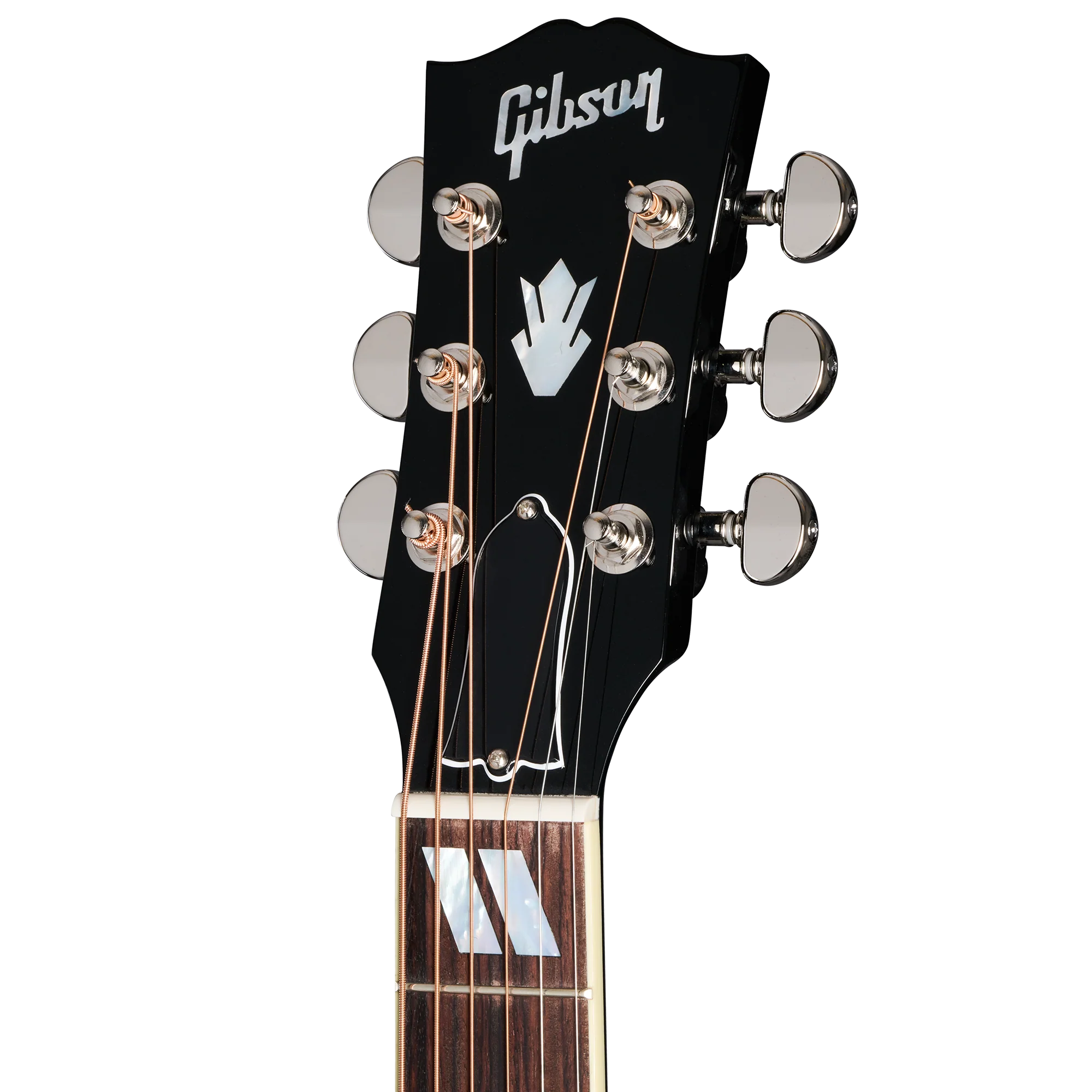 Gibson Hummingbird Standard EC, Ebony, Exclusive 5 Gibson Hummingbird Standard EC, Ebony, Exclusive