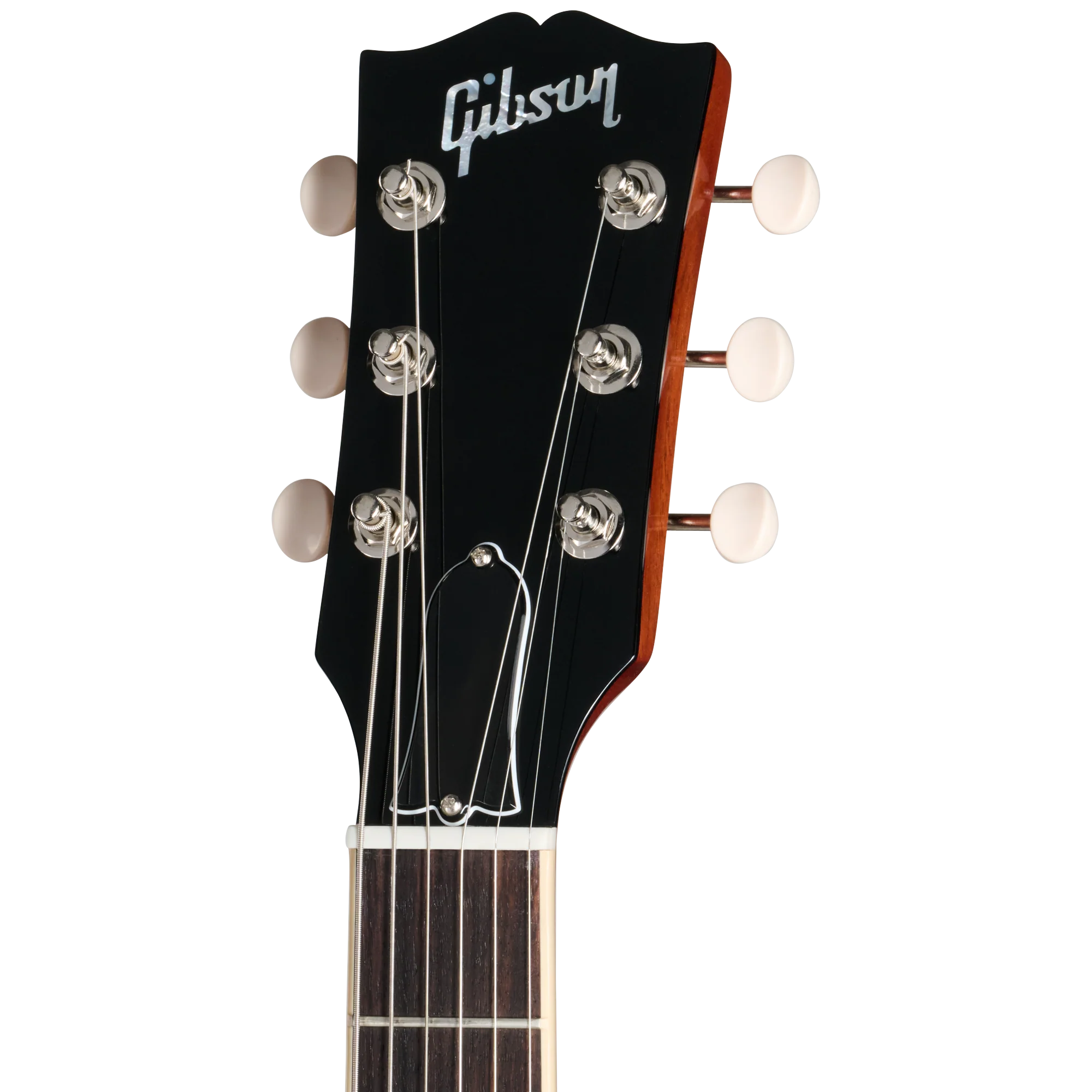 Gibson ES-330, Watermelon, Exclusive 5 Gibson ES-330, Watermelon, Exclusive