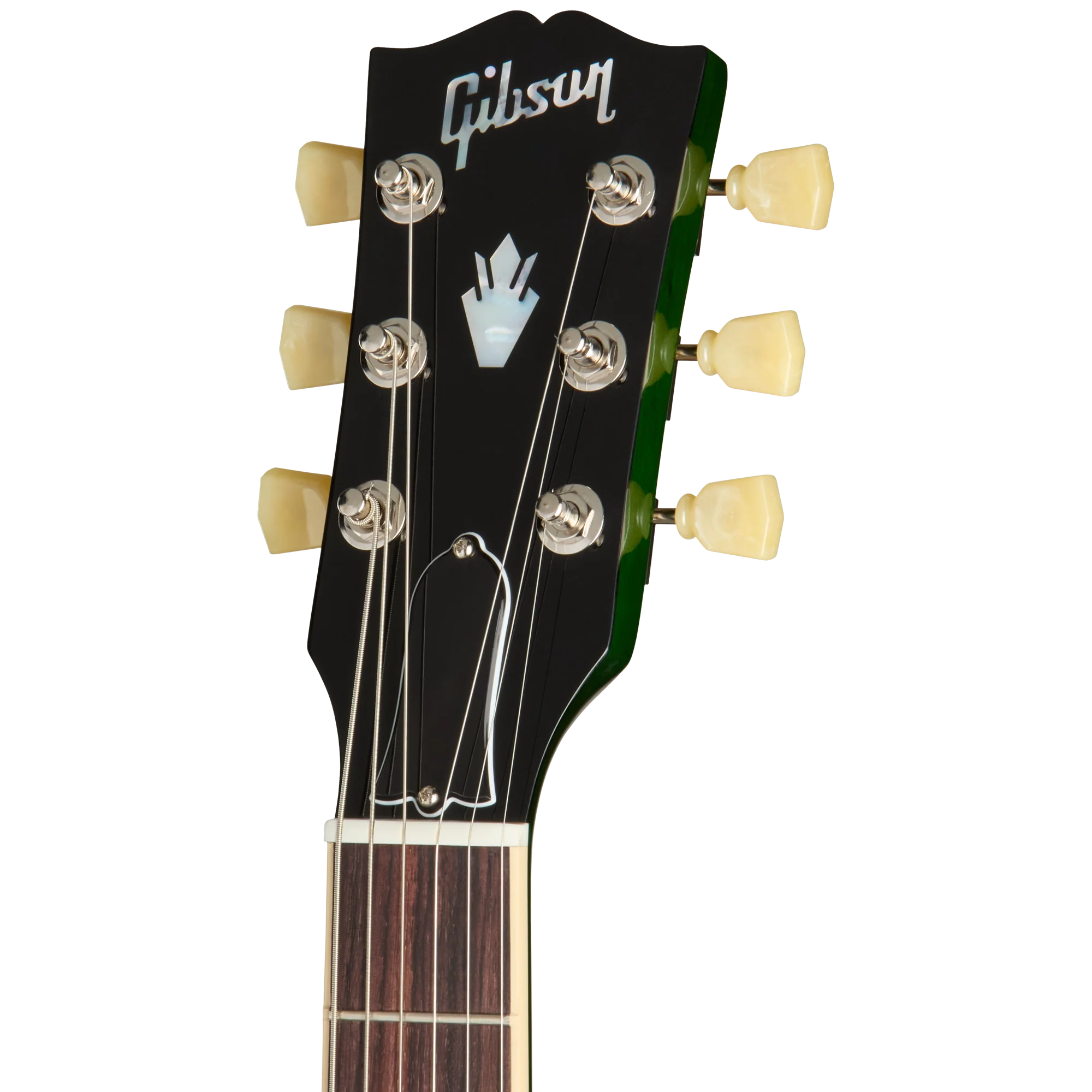 Gibson ES-335 Figured, Iguana Burst, Exclusive 5 Gibson ES-335 Figured, Iguana Burst, Exclusive