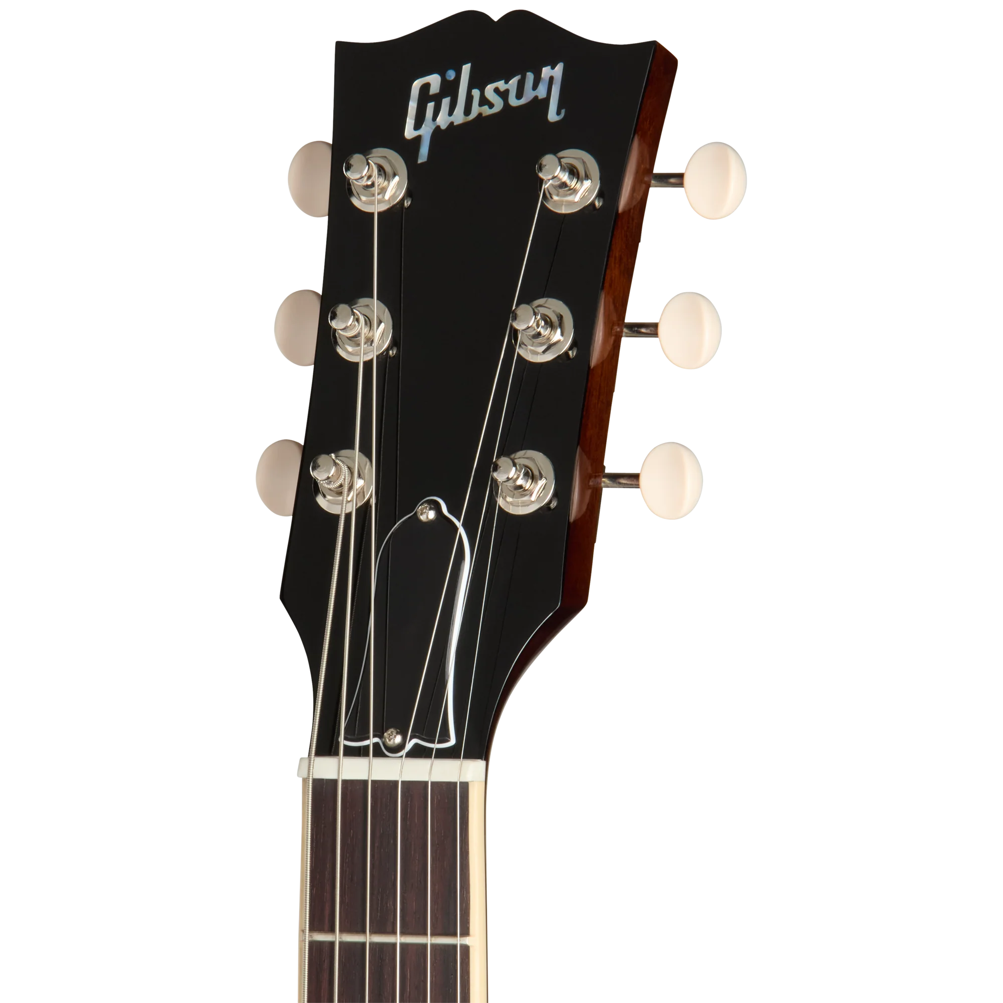 Gibson ES-330, Dark Walnut, Exclusive 5 Gibson ES-330, Dark Walnut, Exclusive
