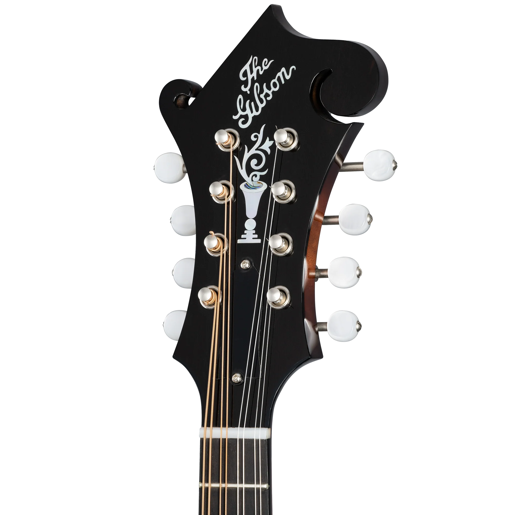Gibson Custom F-5G, Dark Burst 5 Gibson Custom F-5G, Dark Burst