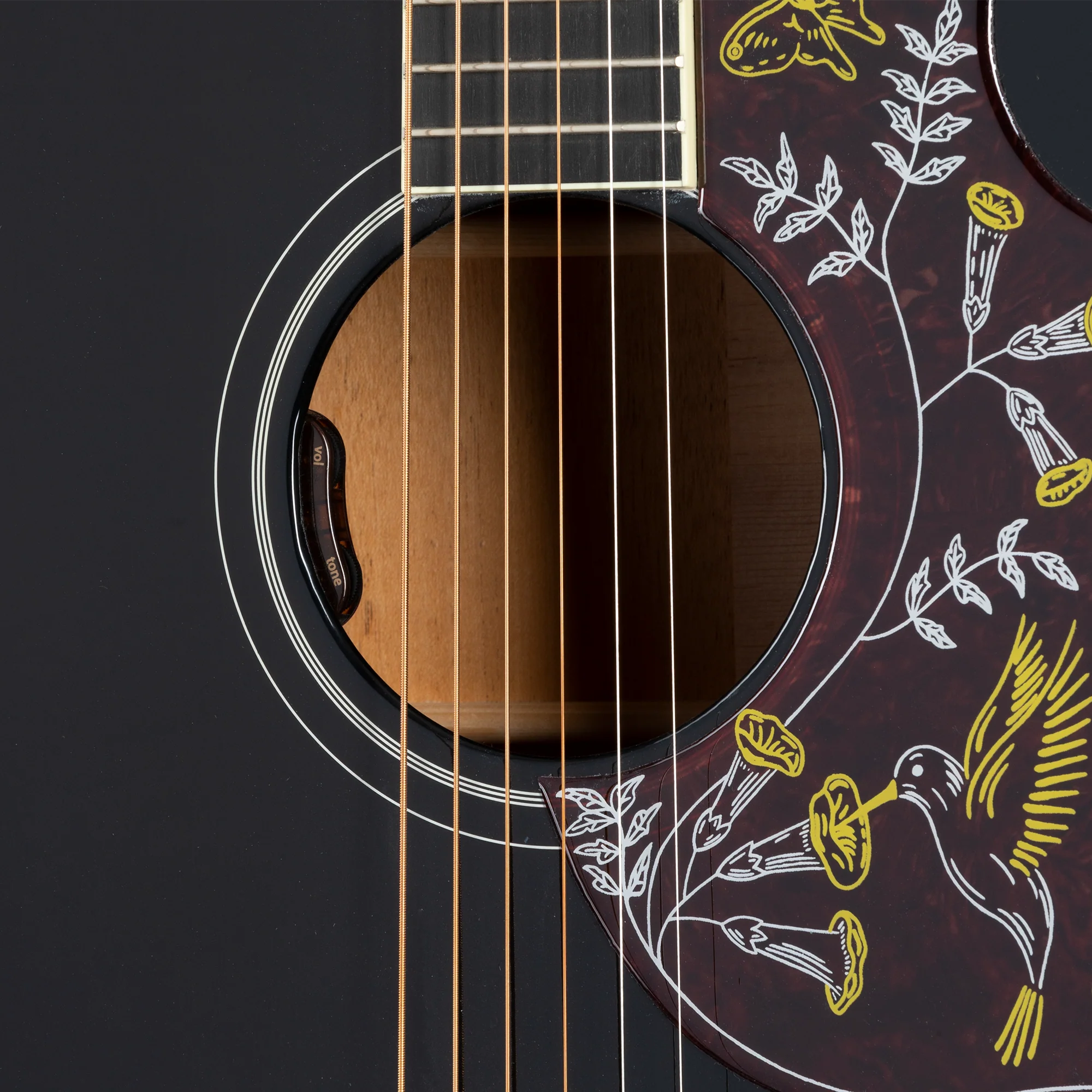 Gibson Hummingbird Standard, Ebony, Exclusive 7 Gibson Hummingbird Standard, Ebony, Exclusive