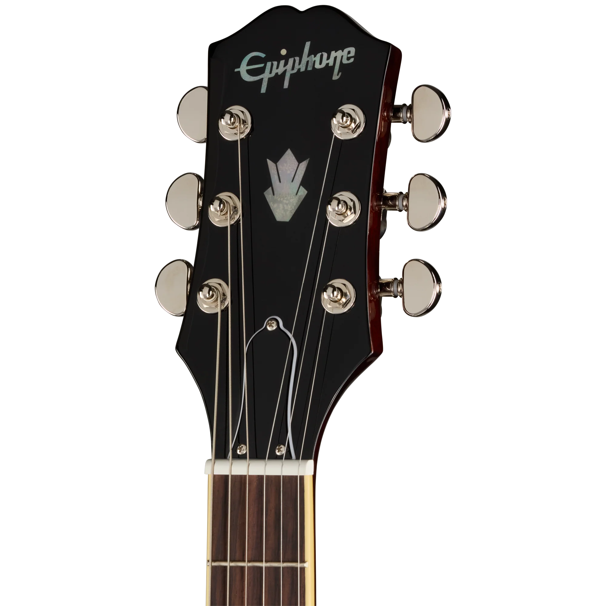 Epiphone ES-335, Dark Walnut, Exclusive 5 Epiphone ES-335, Dark Walnut, Exclusive